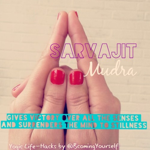 How to: Sarvajit mudra